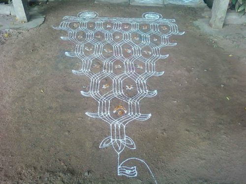 Telugu Kanuma Festival, Hindu Festivals History of Kanuma, Kanuma Festival Celebrations 2014, Kanuma Festival in South   India